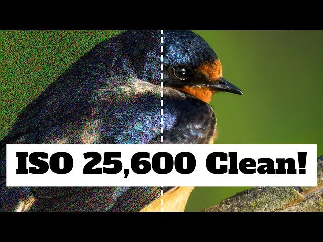 My SECRET WEAPON for Clean images from HIGH ISO photos | BEST Digital Noise Reduction