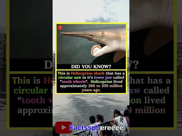 #knowledgeispower #mindblowingfacts #factshorts #didyouknow
