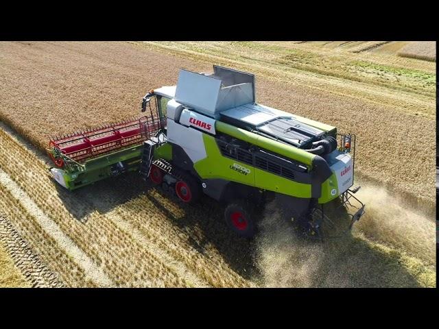 Claas Lexion 6700TT September 2020 Cutting Wheat