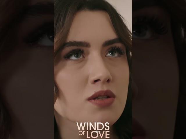 Zeynep, ağzına geleni söyledi  #windsoflove #shorts #zeyhal #ruzgarlitepe