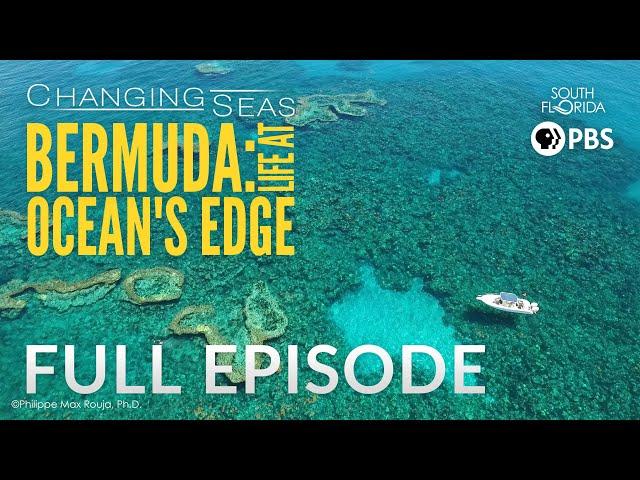 Bermuda: Life at Ocean's Edge - Full Episode