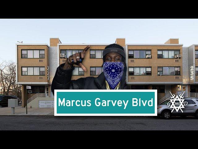 LOCCIE SHMULA TALKS MARCUS GARVEY / CRIPS / GD / BROOKLYN DRILL