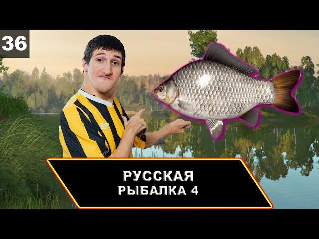 Комариное охота на трофей карася серебряного  Русская Рыбалка 4 {PC 2018} #36