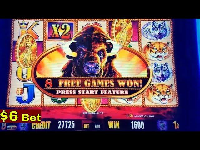 BUFFALO GOLD Slot Machine Max Bet Bonus| BIG WIN Line Hits ! Live Aristocrat Slot Play