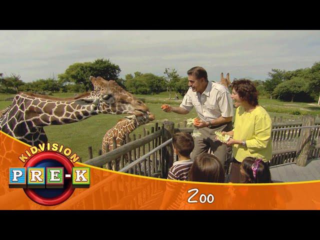 Zoo | Virtual Field Trip | KidVision Pre-K