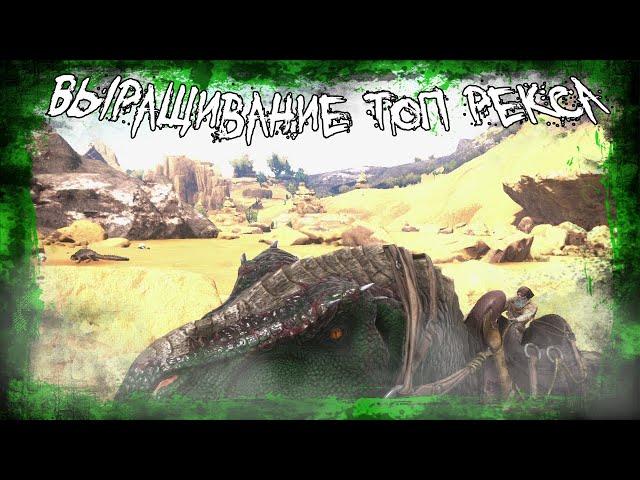 ГАЙД ДЛЯ НОВИЧКОВ ARK survival evolved#3 ТОПОВЫЙ РЕКС как получить
