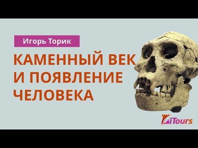 Игорь Торик: Каменный век и появление человека