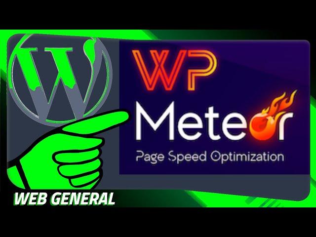 WordPress JavaScript verzögert laden mit WP Meteor