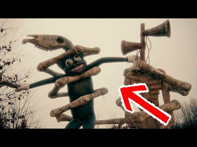 ТОП 10: Долговязая Лошадь Снятая на Камеру