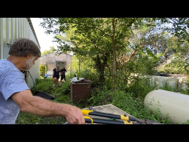 Relocating a Wasp Nest