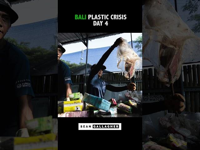 Sorting Plastic to Save the Environment! ️ Photographing Bali's Pollution Emergency - Day 4