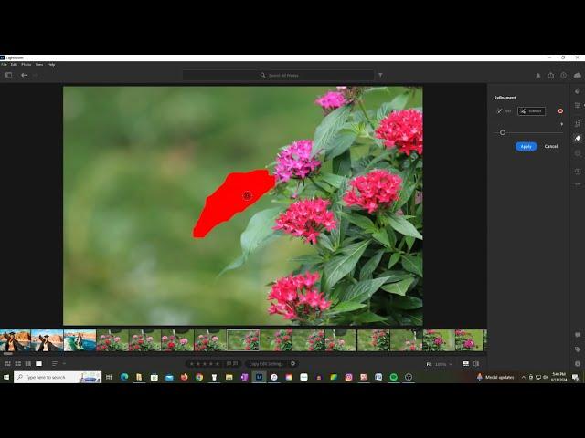 Remove An Object In LightRoom 7.4.1