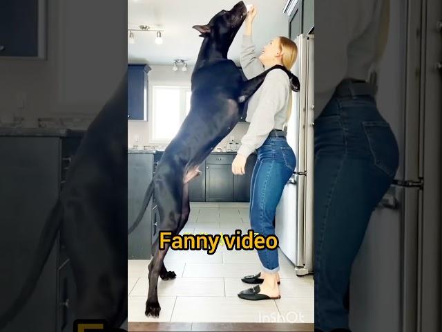 #farming Animal #pets #farmanimalct #seotutorial #comedy #doglover #seoguide #cute #seotips