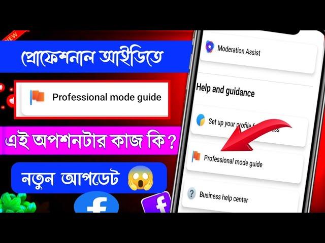 Facebook professional mode guide | What is professional mode guide  | Facebook update 2023