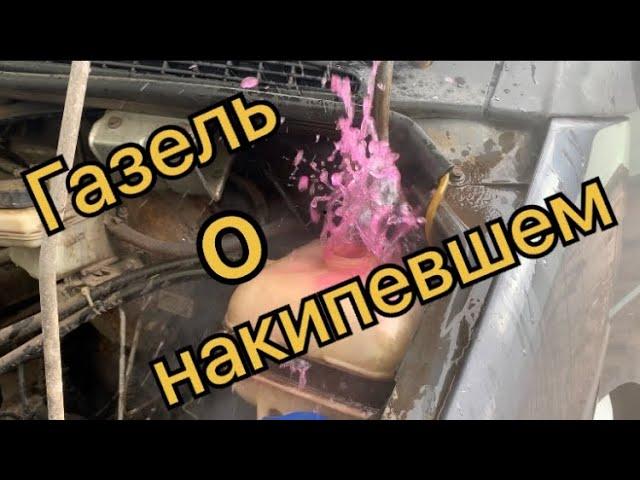 Газель бизнес кипит не включается электромуфта вентилятора охлаждения мотор 4216