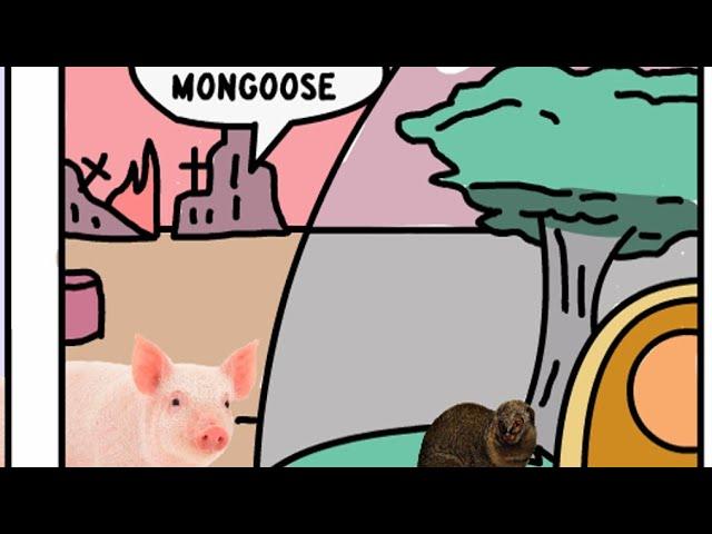 amongoose