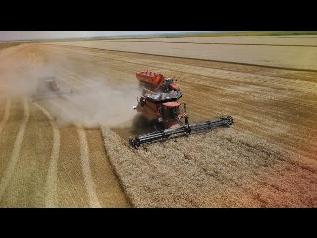 Case IH AF 9230 wheat harvesting record 2014