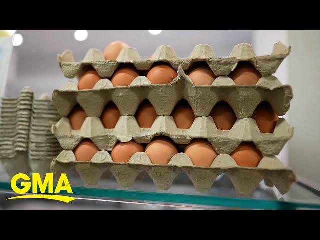 Why are eggs in short supply?