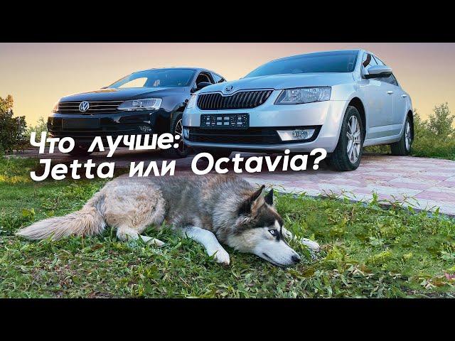 Skoda Octavia или VW Jetta, что покупать в 2021 году?!