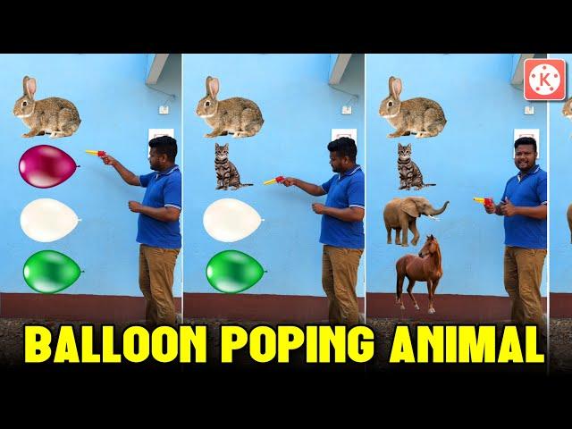 Balloon Poping Animal Video Editing || Kinemaster Video Editing