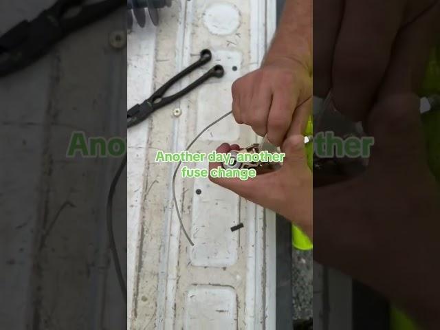 Do you have MADI’s fuse pliers yet? #maditools #lineman #linemen #tooltips #linework #linelife