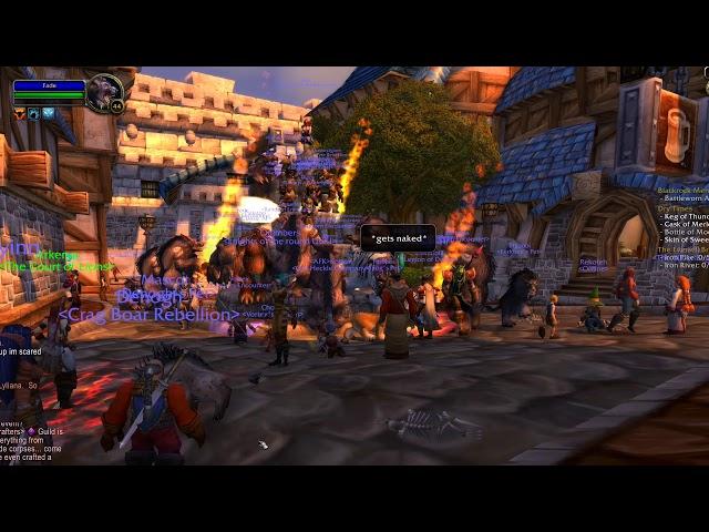 WoW Classic - Druid Bear Form Fountain Party in Stormwind