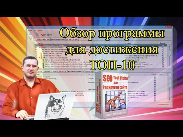 ️ Программа для раскрутки сайтов seo tool vision