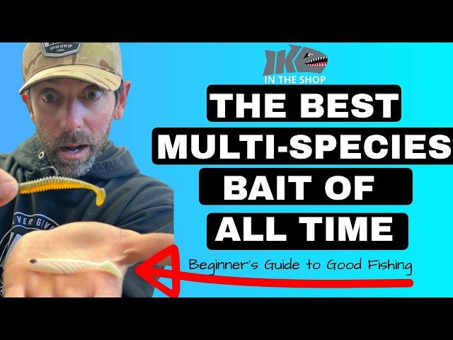 The BEST Multi-species LURE of ALL TIME (Beginner's Guide to Good Fishing)