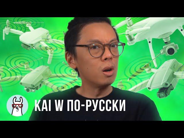 Kai W по-русски: Какой DJI дрон выбрать? (Mavic Mini / Mavic Air 2 / Mavic 2 Pro / Phantom 4 Pro v2)