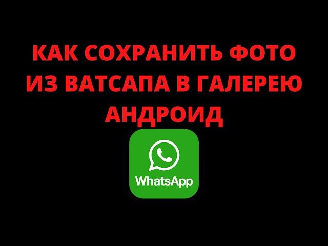 Как сохранить фото из ватсапа в галерею андроид