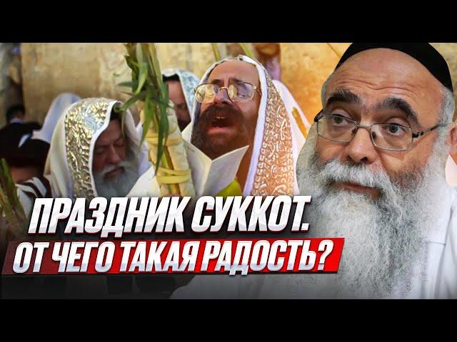 Праздник Суккот. От чего такая радость? Рав Михоэль Кориц