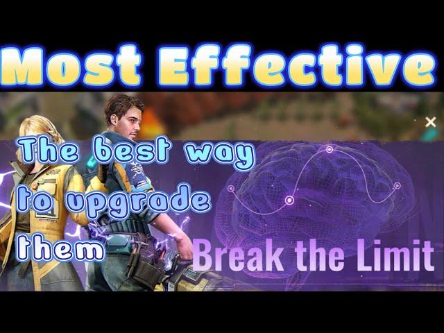 State of Survival: the Best way to upgrade your Limitless!