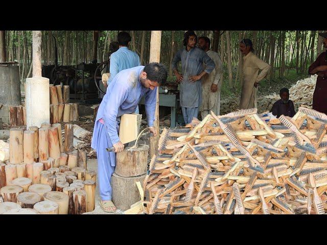 The Process of Mass Producing Ice Cream Sticks in Factory | Creative Woodworking Ideas