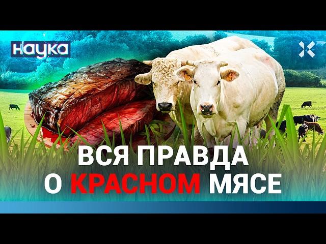 Красное мясо очень опасно. Сколько можно съедать фруктов, овощей и круп в день. Лучшая диета | НАУКА