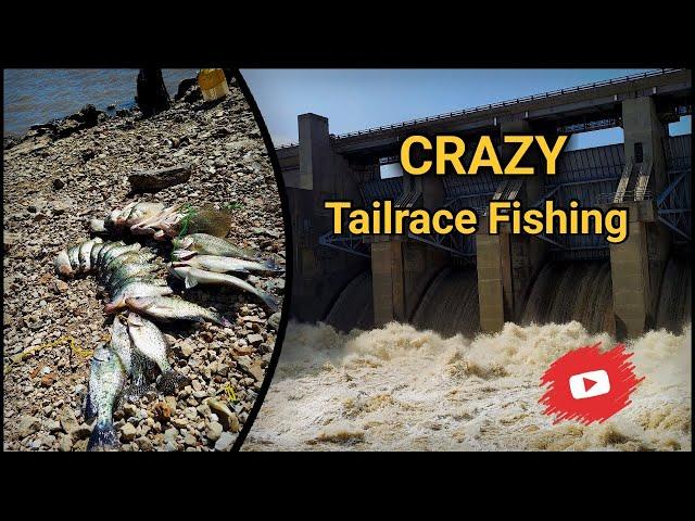 Fishing the Flood Water Tailrace Below Truman Lake Dam! - Multi-Species LIMITS!