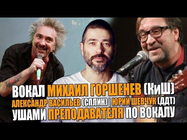 ВОКАЛ Михаил Горшенев "ГОРШОК" (КОРОЛЬ И ШУТ) | Юрий Шевчук (ДДТ) | Александр Васильев (СПЛИН)