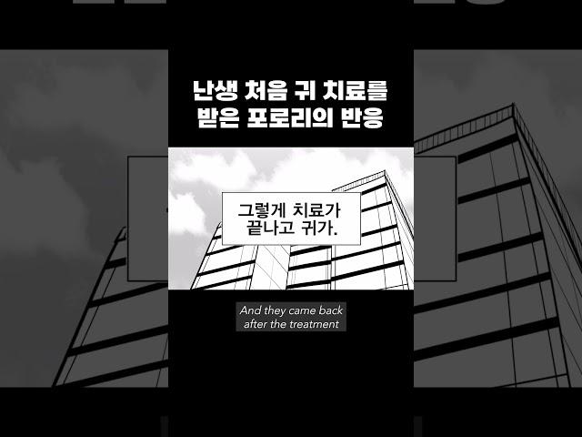 병원간 포로리가 각성?!  #레진코믹스 #레바 #포로리 #고양이