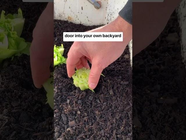 DIY Mini Greenhouse from an Old Window
