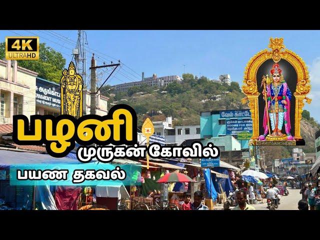 பழனி முருகன் கோவில் | Complete Guide to Palani Arulmigu Dhandayuthapaniswamy Temple