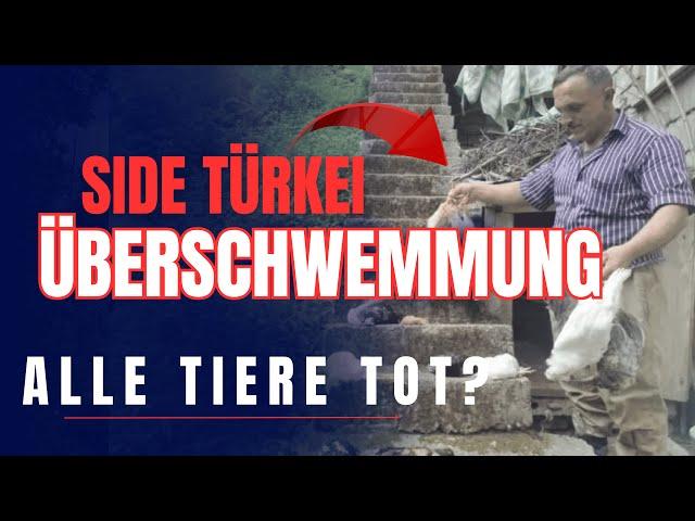 ÜBERSCHWEMMUNG in SİDE TÜRKEİ: Wie geht es den Tieren?