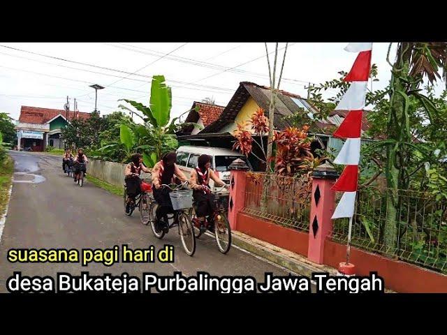 wow bikin betah,suasana pagi yg syahdu di desa Bukateja Purbalingga Jawa Tengah