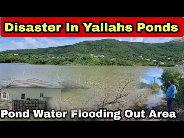 Yallahs Salt Pond Residents Of Paradise Lane On Edge And Fearful For Life