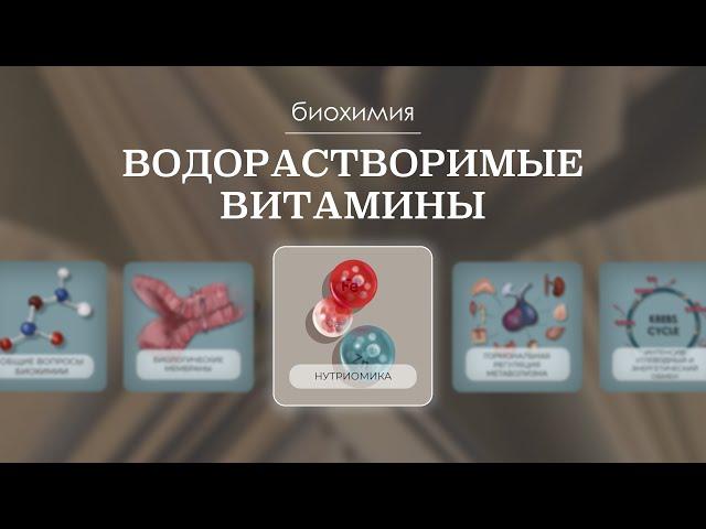 Водорастворимые витамины | Биохимия