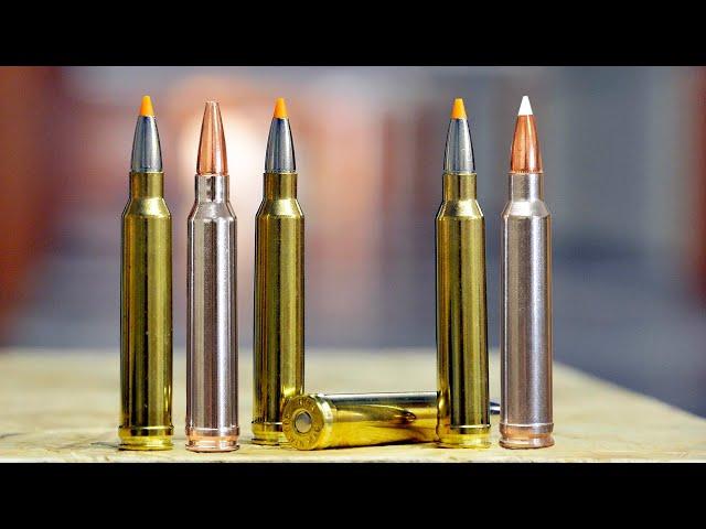 5 Reasons the .300 Win Mag Rules the Roost