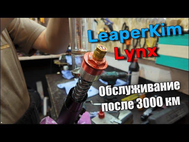 LeperKim Lynx Обслуживание после 3000 км