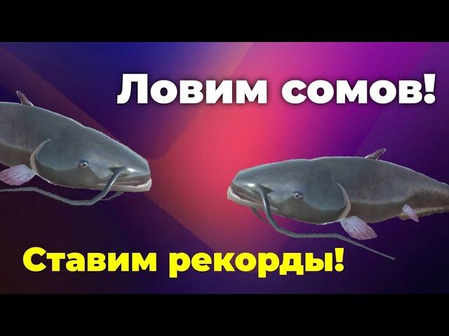 Наконец-то поймал ГИГАНТА!!! | Ultimate Fishig Simulator | Кетлин-Лейкс #2