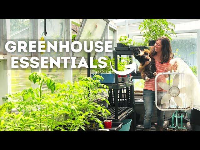 Essential Tips & Supplies for Beginner Greenhouse Gardeners