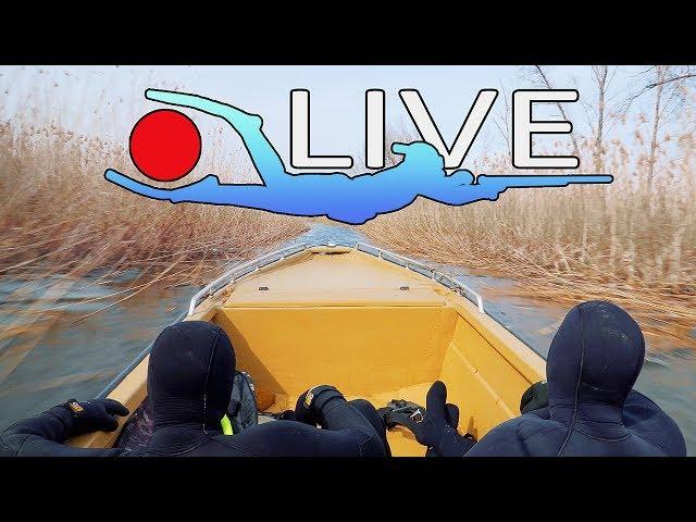 Трейлер лайв канала - Подводная охота I Live