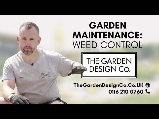 Garden Maintenance Weed Control by The Garden Design Co