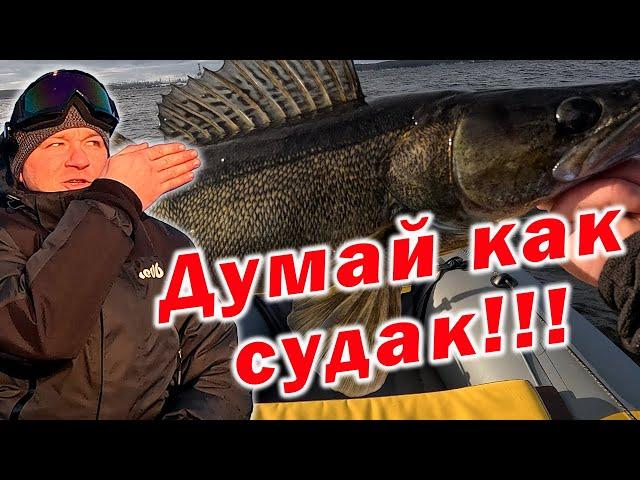 "СУДАК ЗАСТОЛЬНЫЙ" !!!ИДЕАЛЬНЫЕ УСЛОВИЯ ДЛЯ ЛОВЛИ СУДАКА!!!